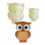 Empreinte Pop It® Hibou