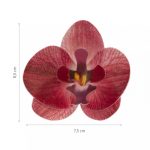 Fleur Orchidée bordeaux comestible /10 – Image 6