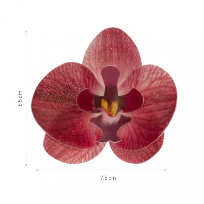 Fleur Orchidée bordeaux comestible /10 – Image 6