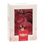 Fleur Orchidée bordeaux comestible /10 – Image 5