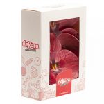 Fleur Orchidée bordeaux comestible /10 – Image 4