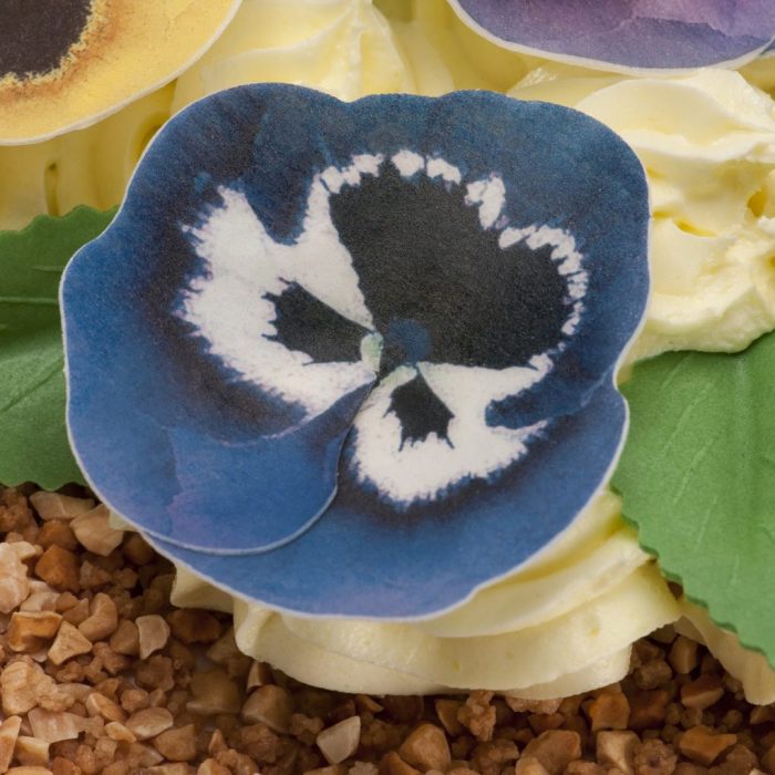 Fleur et feuilles  azyme comestible – Image 7