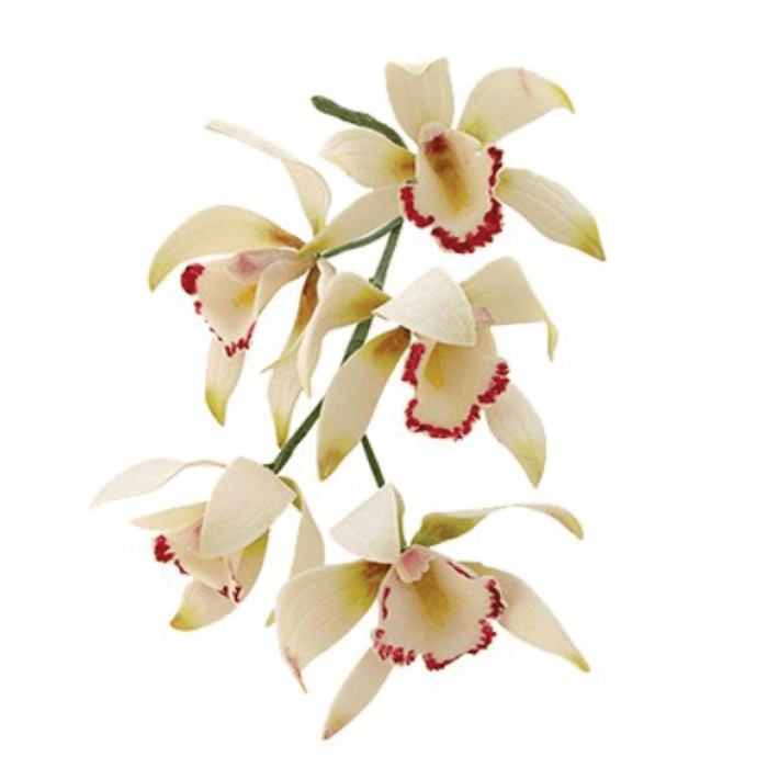 Emporte pièce orchidée x8 – Image 2