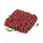 Moule Silicone Silicone Cerise 19x19x5cm (Dinara Kasko) – Image 3