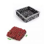 Moule Silicone Silicone Cerise 19x19x5cm (Dinara Kasko)