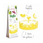 Déco gâteau mojito