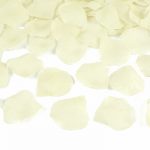 Pétales de rose jaunes x100 Ø 5 CM - PLRD100-079