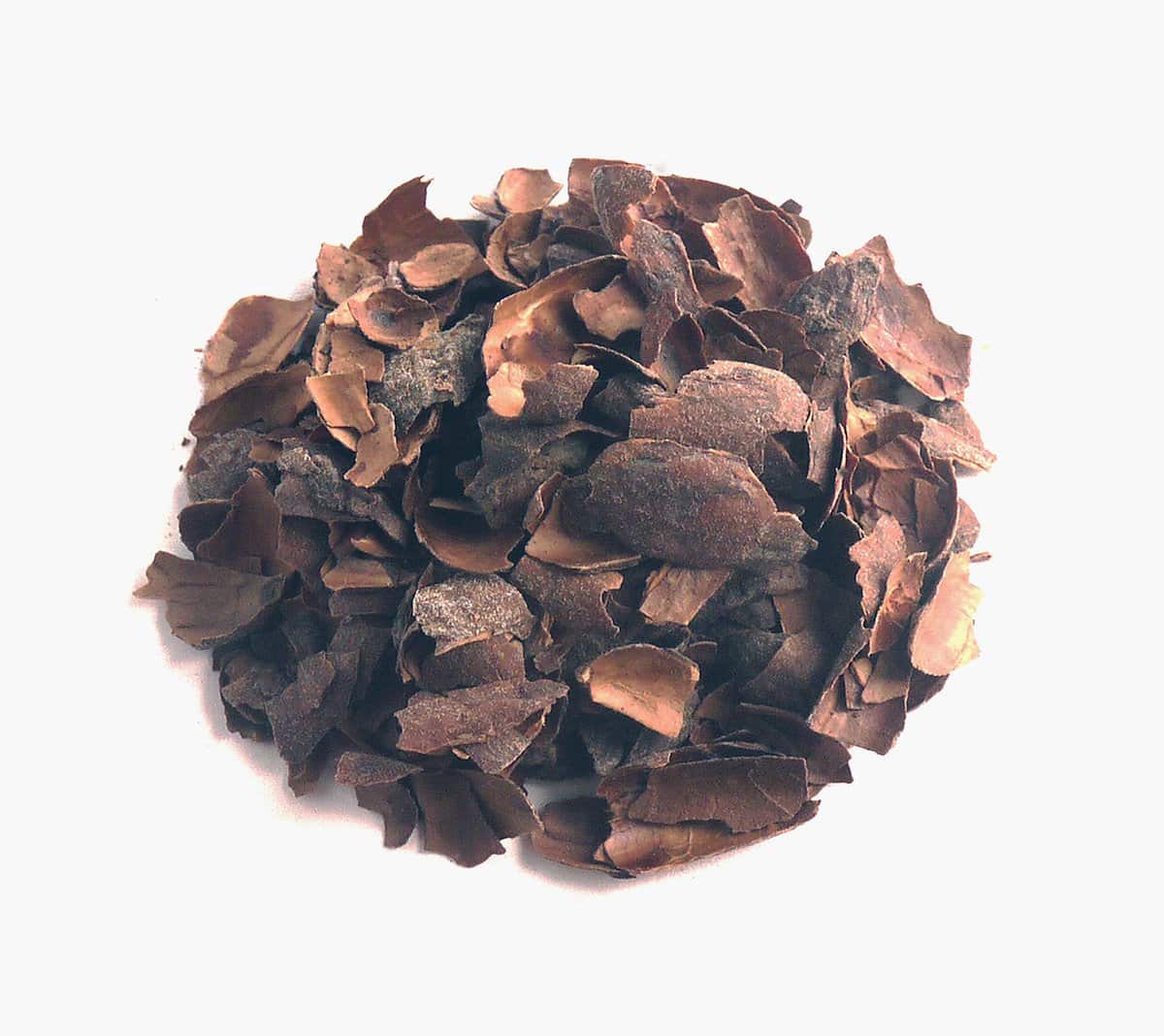 801_m Infusion Ecorces de Fèves de Cacao vrac – Image 1