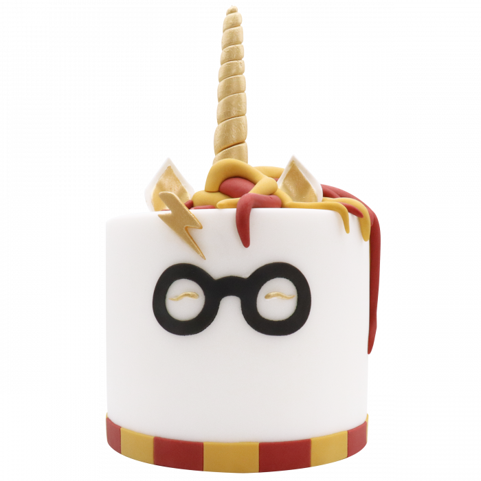 Lunettes et Eclair Emporte-Pièce Harry Potter – Image 7
