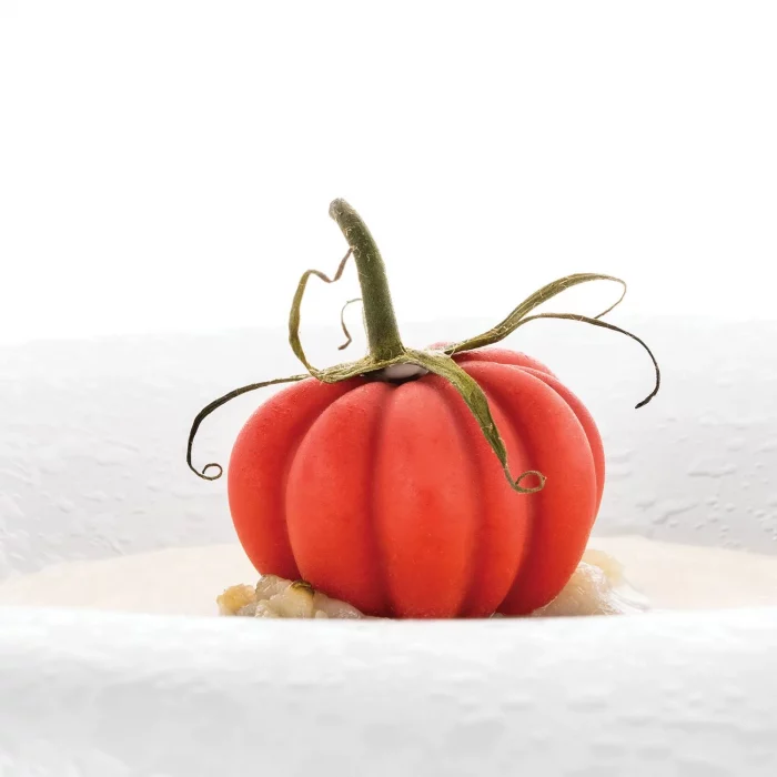 Moule silicone Naturae Pomodoro 24 – Image 4