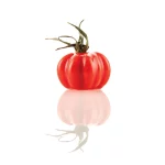 Moule silicone Naturae Pomodoro 24 – Image 5