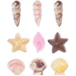 Moule chocolat plastique décors Coquillages – Image 3