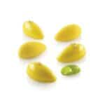 Moule silicone Quenelle 10