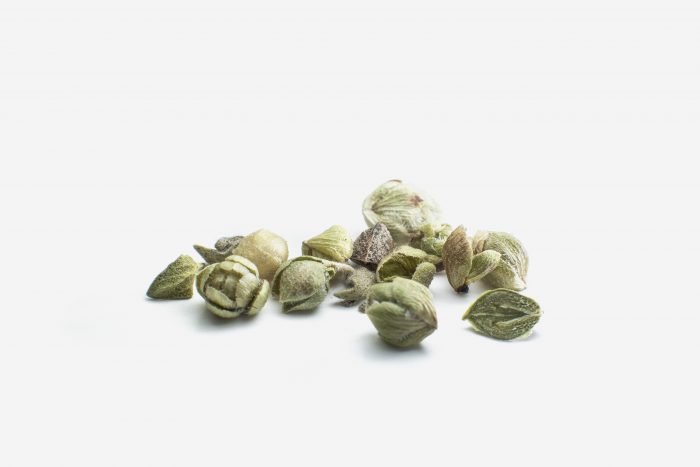 Bourgeons d'origan – Image 2