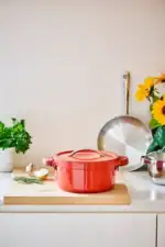Plume Cocotte Ronde 24cm Rouge – Image 5
